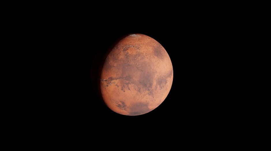 NASA rover images and the “insect on Mars” claim: What science really says – The Times of India: What You Need To Know
