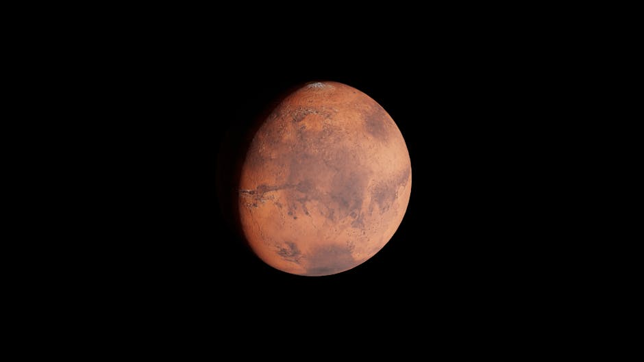 NASA rover images and the “insect on Mars” claim: What science really says – The Times of India: What You Need To Know