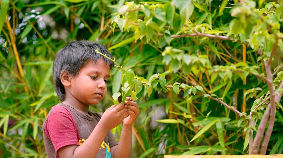 On World Malaria Day, look to the future while acknowledging the past – George W. Bush Presidential Center: What You Need To Know