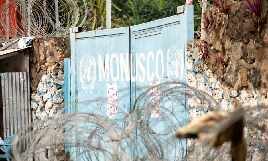 Ebola cases in Congo’s east climb over 900: authorities – BusinessLine: What You Need To Know