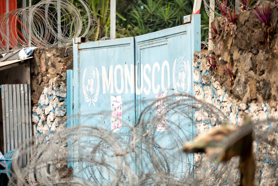 Ebola cases in Congo’s east climb over 900: authorities – BusinessLine: What You Need To Know
