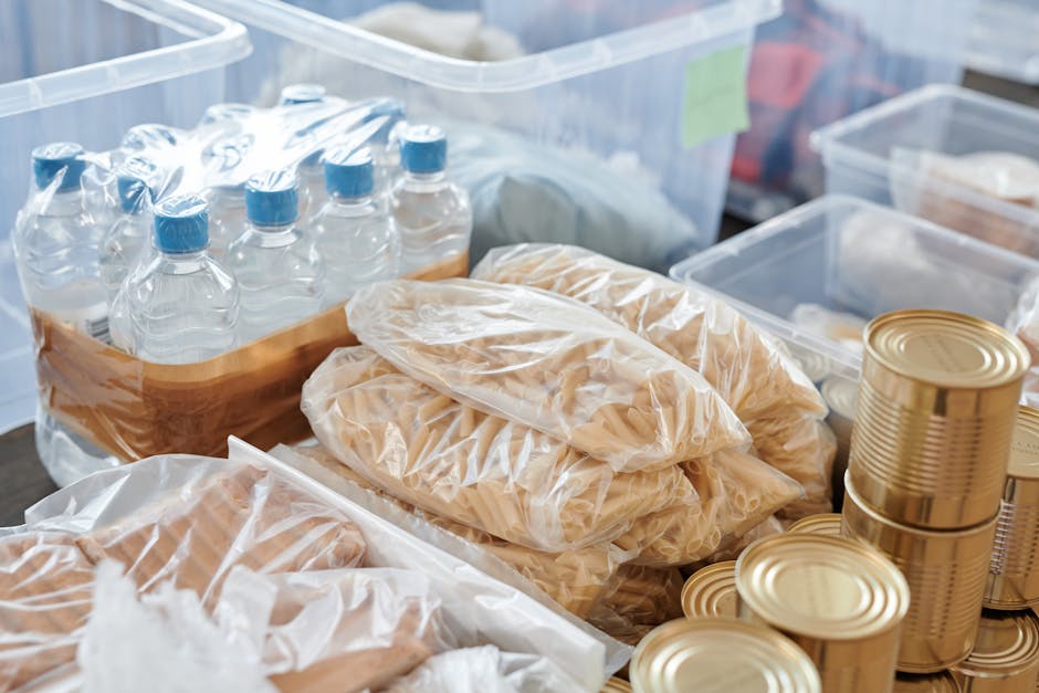 World Food Safety Day: Protecting the Gift of Food, Preserving the Dignity of Life - Catholic Connect: What You Need To Know