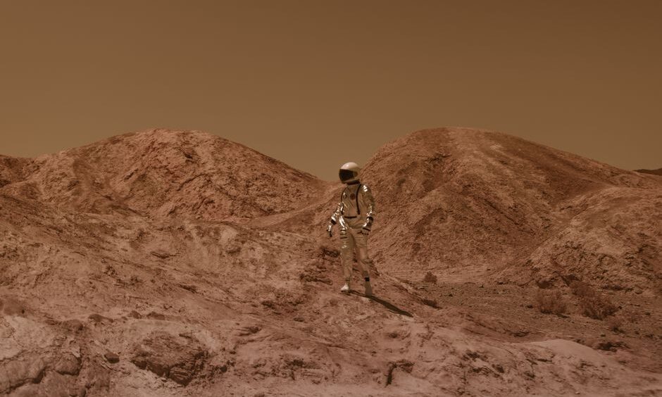 What Scientists Found Inside A Mars Meteorite Left Them Speechless – NDTV