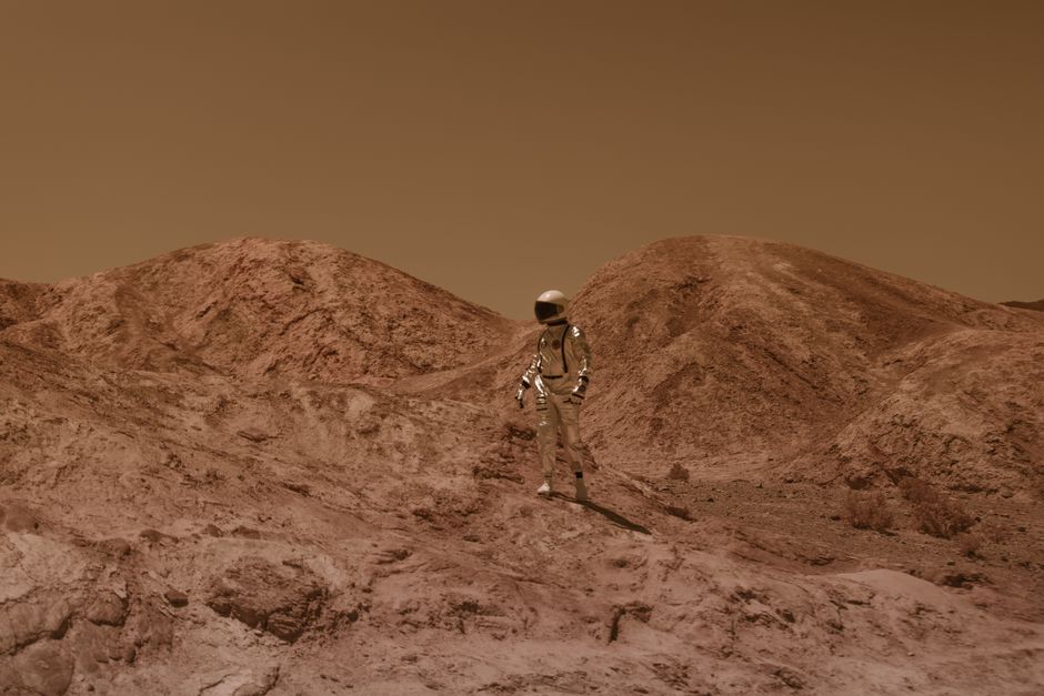 What Scientists Found Inside A Mars Meteorite Left Them Speechless – NDTV