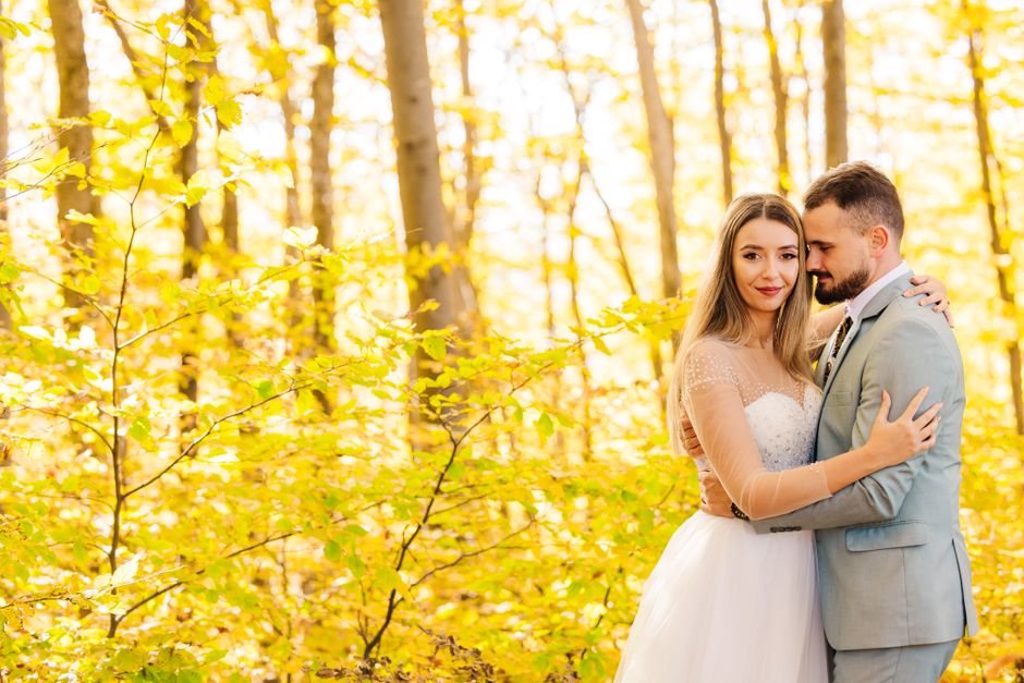 Taylor Swift, Travis Kelce already secretly married ahead of Madison Square Garden bash: Report – The Times of India