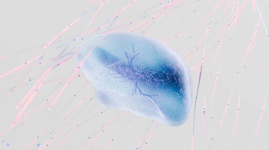 Google-Aided Research Completes First Full Map Of Male Fruit Fly Brain’s 1.6 Lakh Neurons – Mashable India